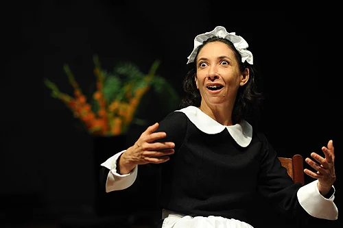 Read more about the article ELSA GALVÃO