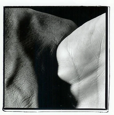 Read more about the article FOTOGRAFIAS de Miguel Ribeiro