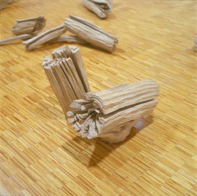 Read more about the article ALBERTO CARNEIRO – MEU CORPO VEGETAL
