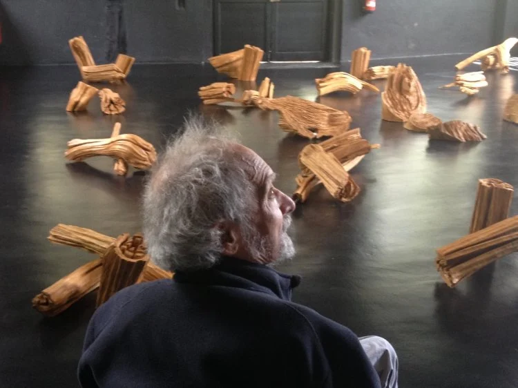 Read more about the article ALBERTO CARNEIRO