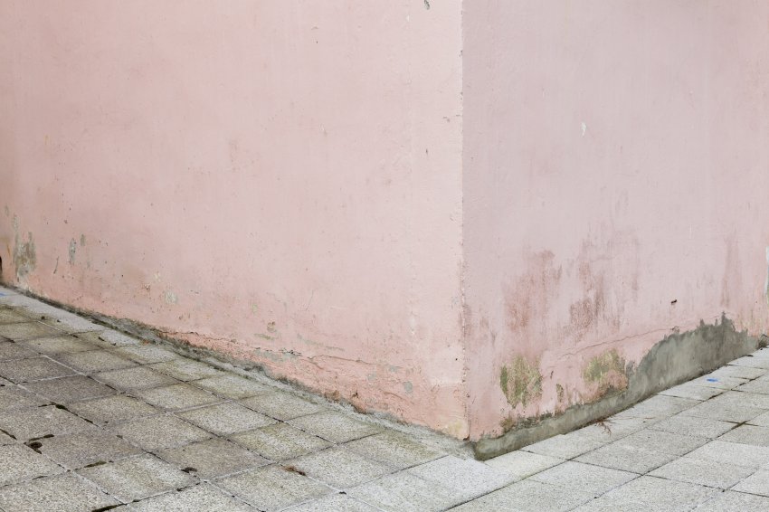 Read more about the article Temps D´Images no Teatro da Politécnica 2014