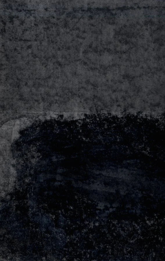 Read more about the article Catarina Lopes Vicente: Maio 2015