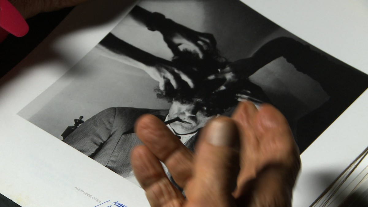 Read more about the article FERNANDO LEMOS – Como, não é retrato? de Jorge Silva Melo