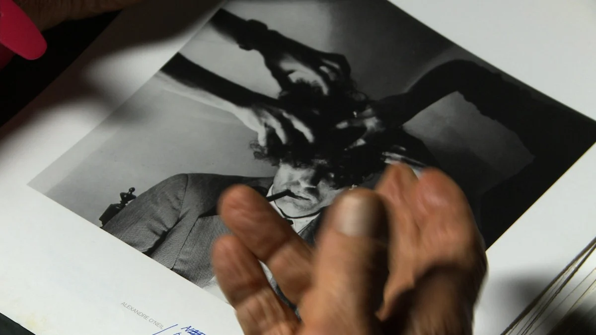 Read more about the article FERNANDO LEMOS – Como, não é retrato? de Jorge Silva Melo