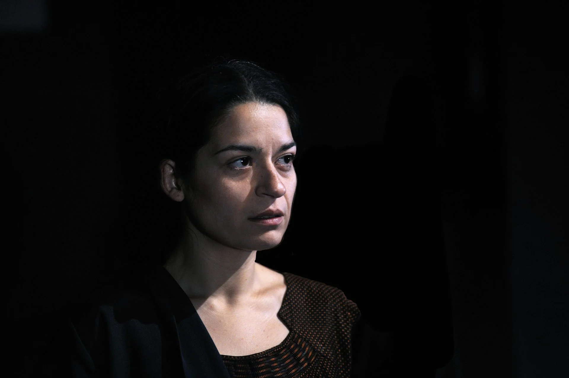 Read more about the article POE OU O CORVO de Fiama Hasse Pais Brandão