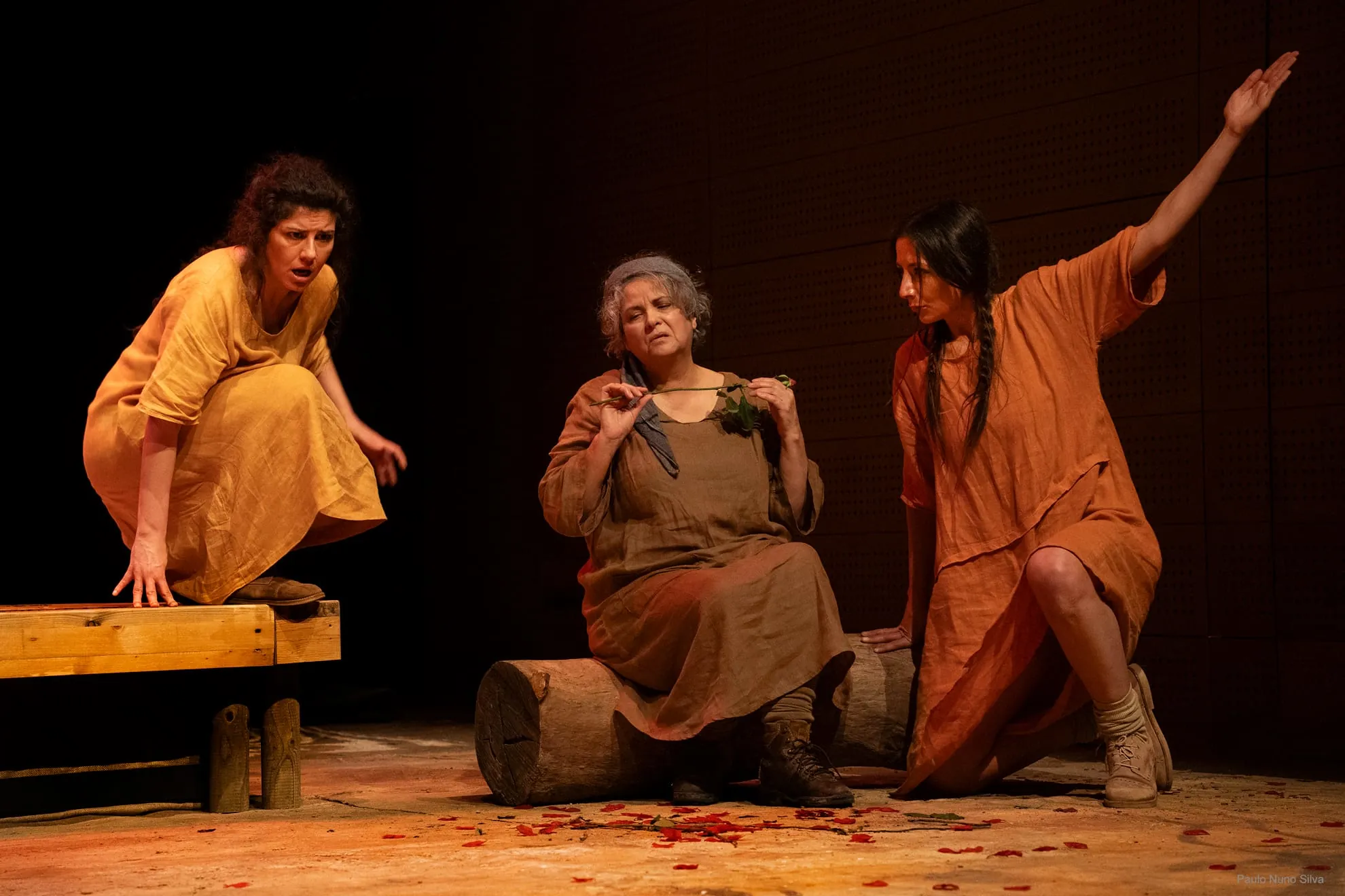 Read more about the article A ÁRVORE QUE SANGRA de Angus Cerini – Teatro da Rainha