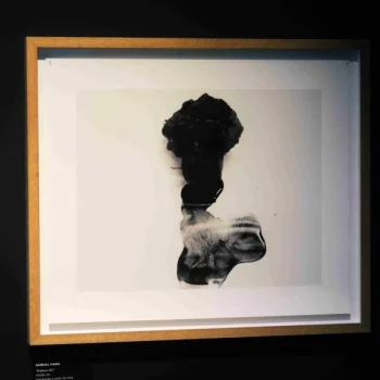 artista novembro 2014