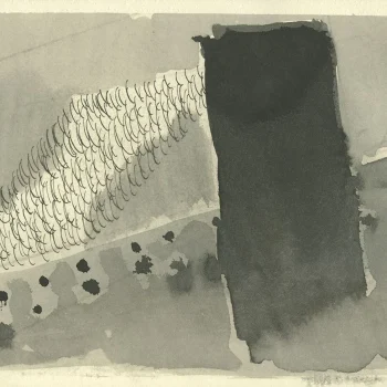 rui carreira 1